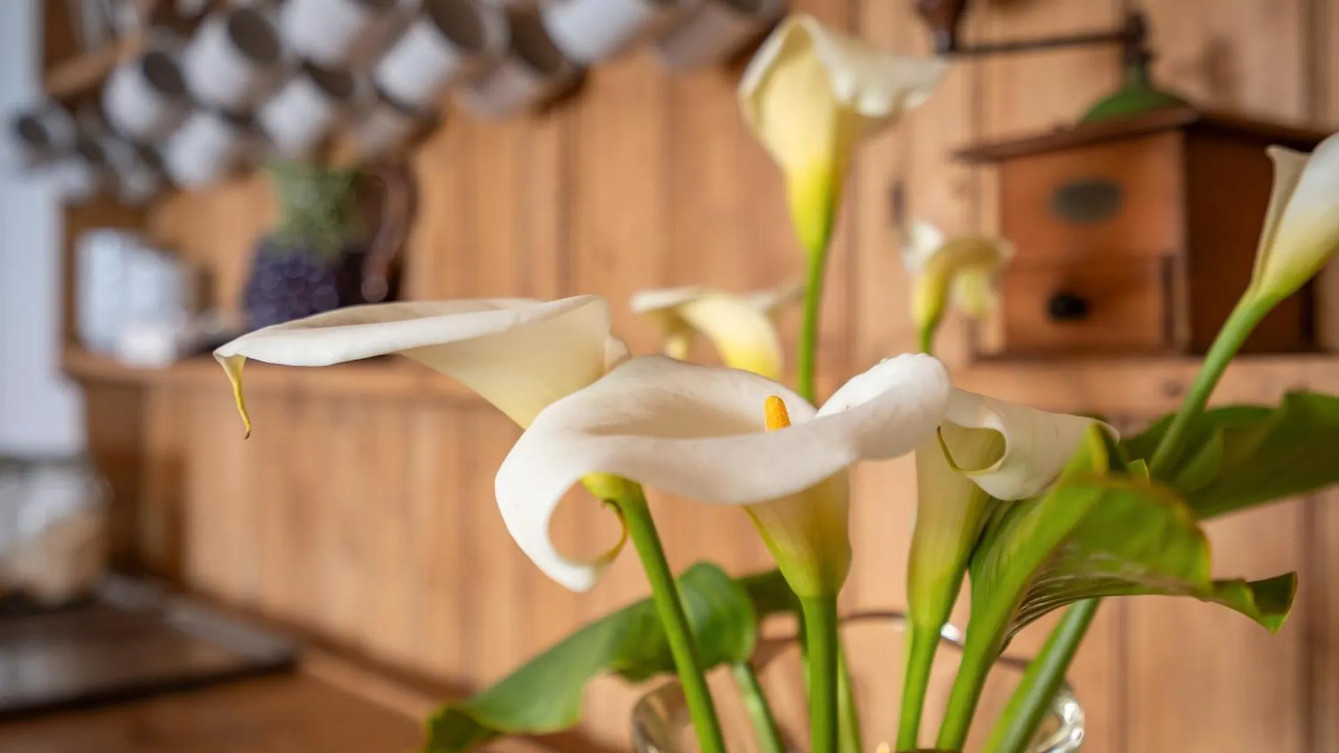Alto Da Lua Bed & Breakfast Bordeira