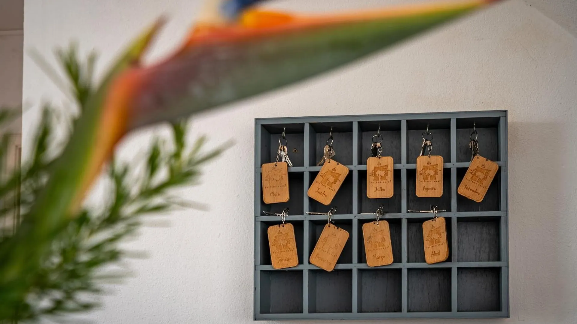 Alto Da Lua Bed & Breakfast Bordeira  Portugal