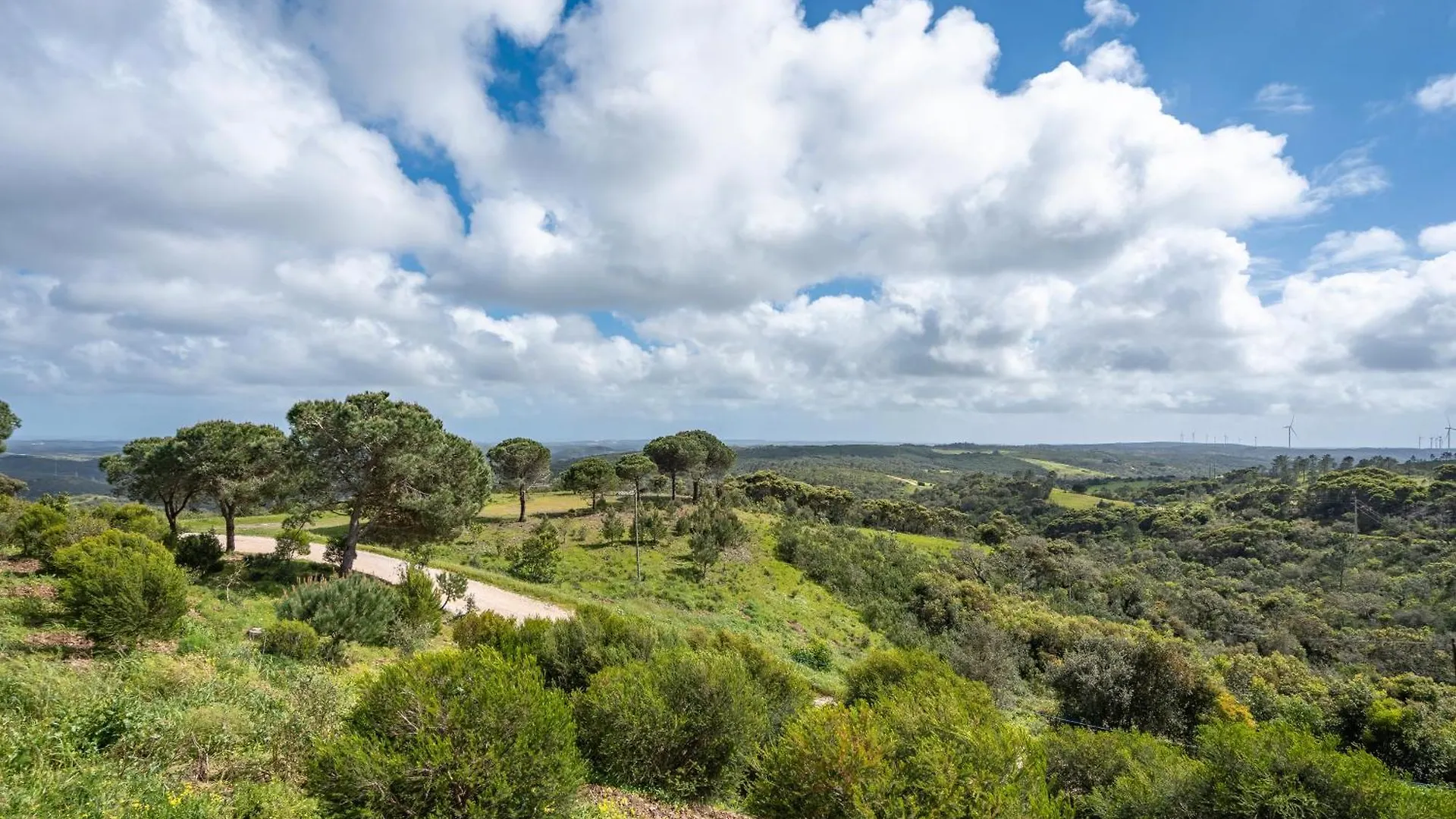 Bed & Breakfast Alto Da Lua Bed and Breakfast Bordeira  Portugal